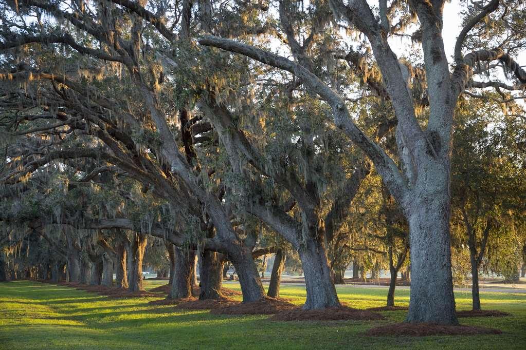 The Lodge At Sea Island St. Simons Island 設備 写真