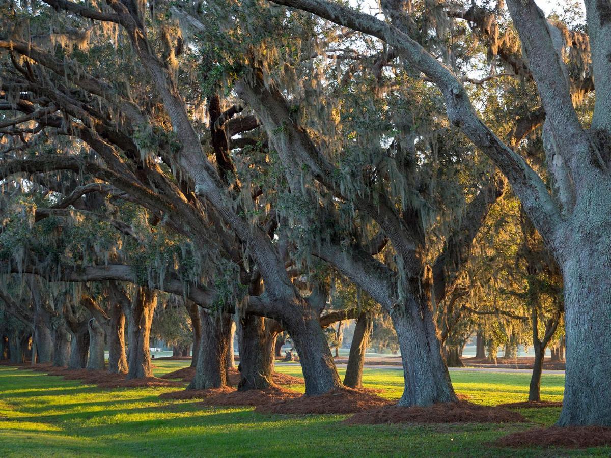 The Lodge At Sea Island St. Simons Island エクステリア 写真